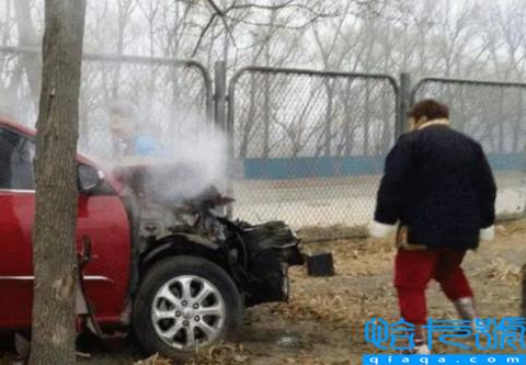 收养280多个孤儿(捐款捐到倾家荡产(韩红简历个人资料简介))