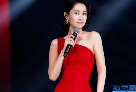 7年丧偶式婚姻因冰淇淋终结(刘敏涛个人资料简介及老公)