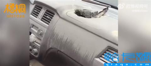 河南郑州冲上41℃！汽车仪表台被烧出大洞,有人测得车内96℃