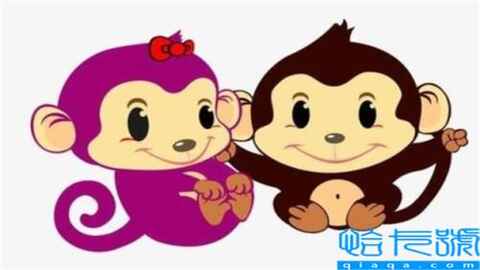 26岁属什么生肖(今年 今年26周岁属什么生肖)