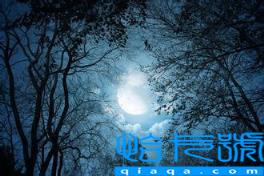 十大过亿点击灵异小说排行榜茅山捉鬼人(最火的灵异小说排行榜前十名)