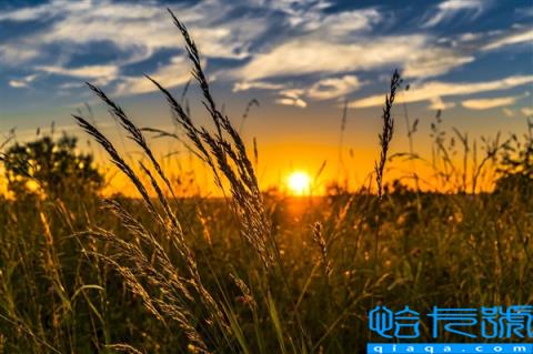 河南最高地表温度达74.1℃ 央视名嘴神吐槽！中央气象台发布高温/暴雨预警