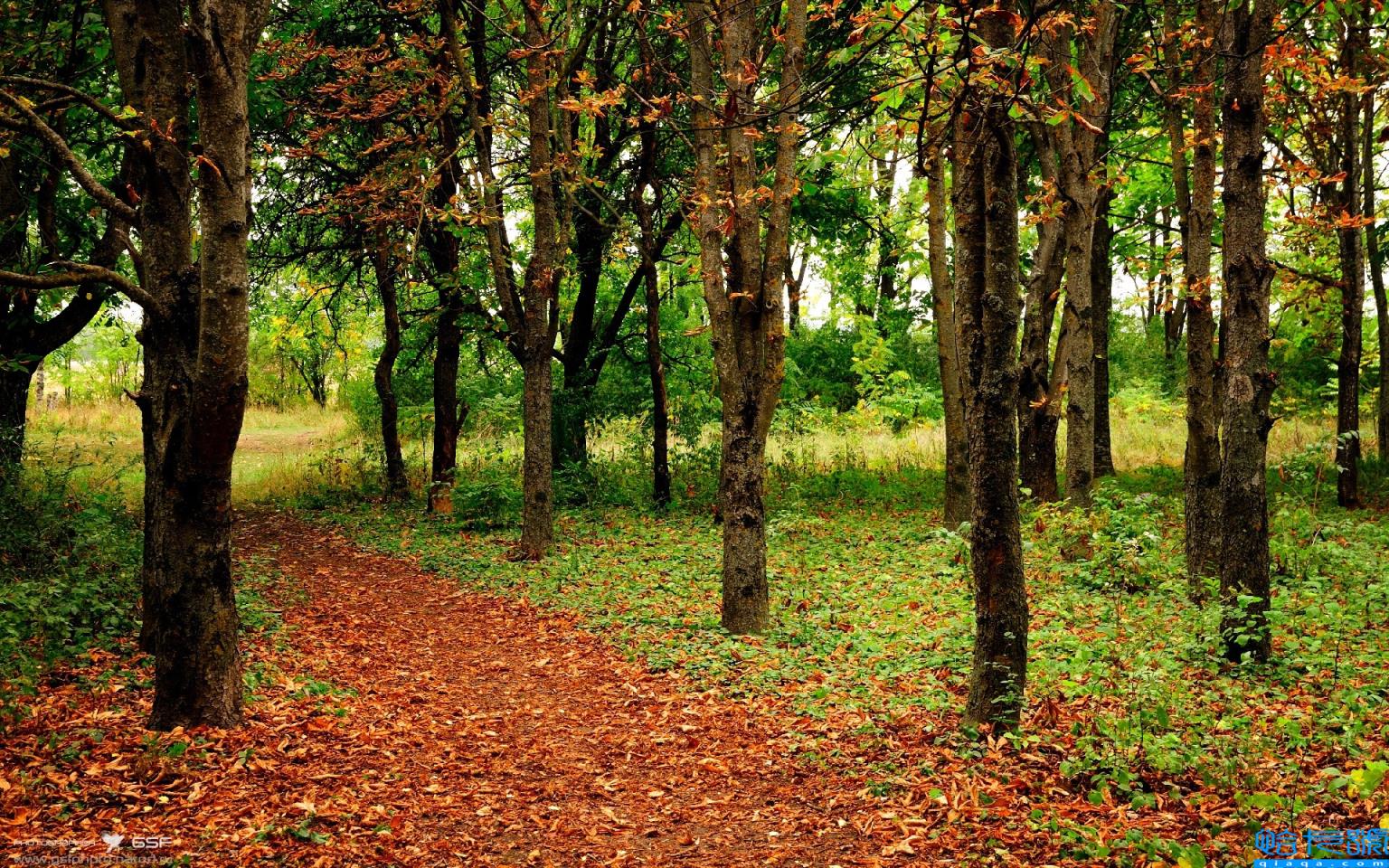 青岛发布落户新政(重磅！青岛落户新政来了！)