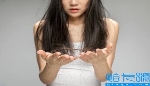 梦到自己梳头掉头发是什么预兆(梦见梳头掉头发是什么征兆)