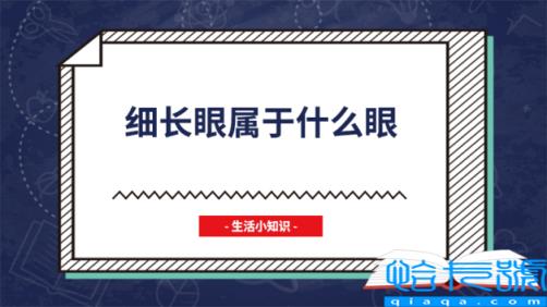 细长眼是什么样的(细长眼属于什么眼)