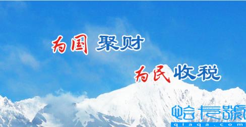 2021年云南国税网上办税服务厅登录地址
