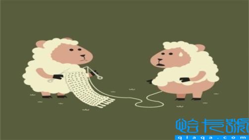 12生肖有哪些动物是犬科(12生肖有哪些动物)