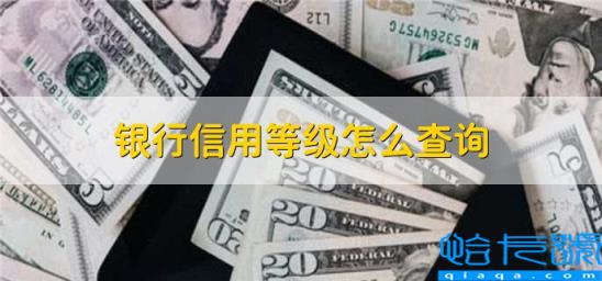 银行信用等级在哪里查询(银行信用等级怎么查询)