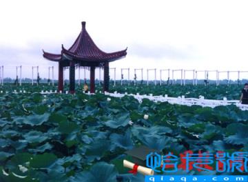 淮安话方言骂人大全(淮安话骂人搞笑的段子(精选))