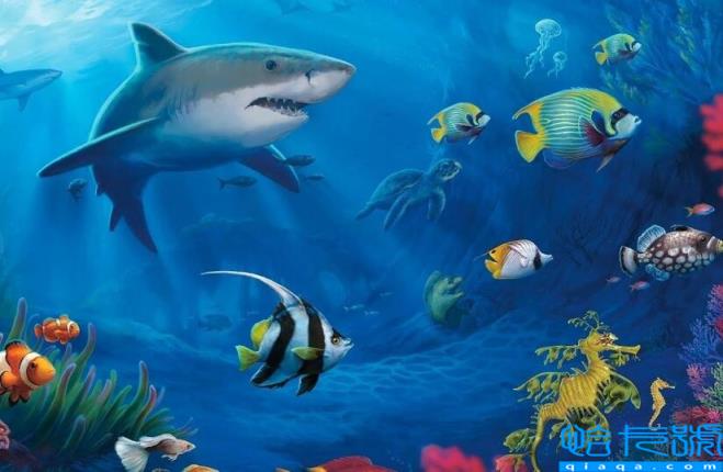 五大洋是哪五个海洋大小(五大洋是哪五个海洋)