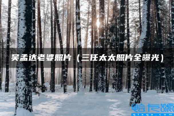 吴孟达老婆照片（三任太太照片全曝光）