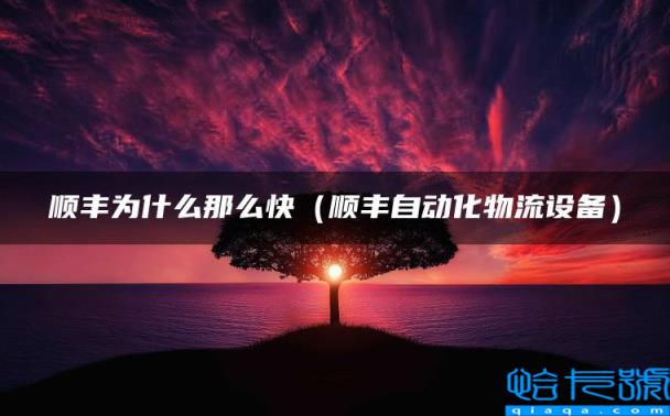 顺丰为什么那么快（顺丰自动化物流设备）