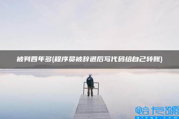 被判四年多(程序员被辞退后写代码给自己转账)
