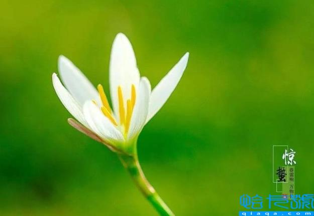 惊蛰寓意着什么(惊蛰寓意好吗)