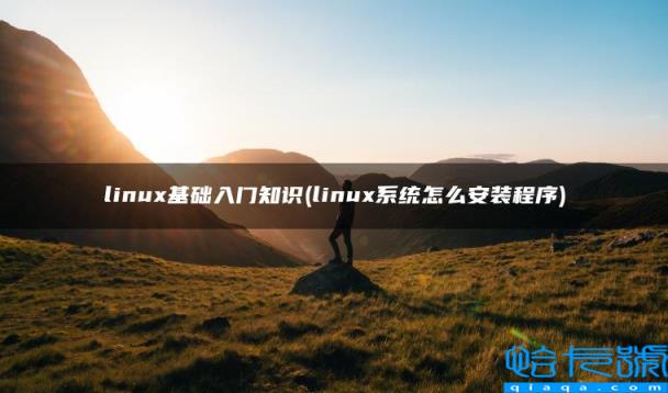 linux基础入门知识(linux系统怎么安装程序)