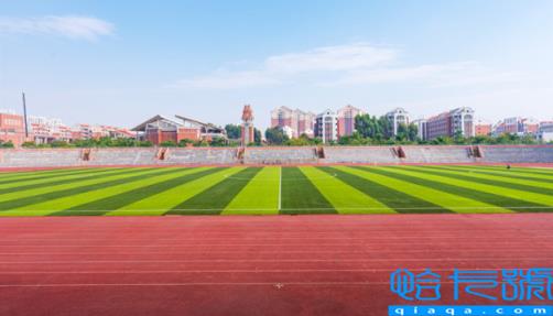 集美大学是985还是211学校(集美大学属于211还是985)