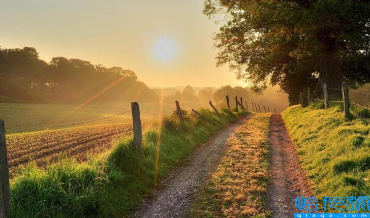 早上的太阳叫什么用四个字(早上的太阳叫什么)