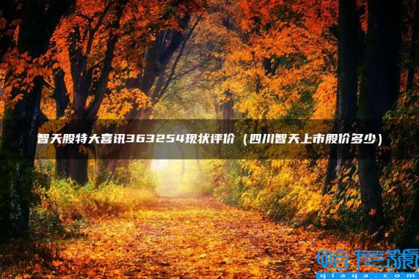 智天股特大喜讯363254现状评价(四川智天上市股价多少)