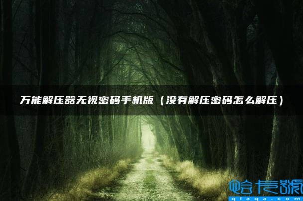 万能解压器无视密码手机版（没有解压密码怎么解压）