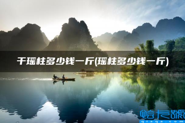 干瑶柱多少钱一斤(瑶柱多少钱一斤)