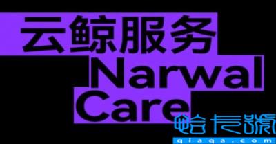 扫地机器人哪个好？云鲸J2  提升家居生活幸福感