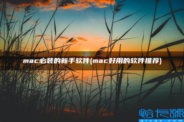 mac必装的新手软件(mac好用的软件推荐)