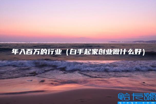 年入百万的行业（白手起家创业做什么好）