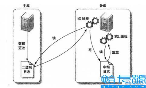 mysql主从复制怎么理解