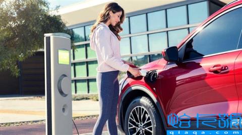 巨头警告：EV再不降价 汽车市场将会崩溃