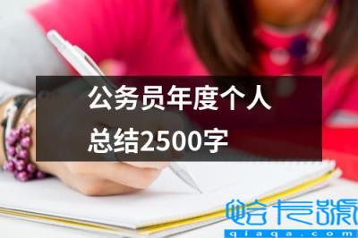公务员个人总结500字左右(公务员年度个人总结2500字)