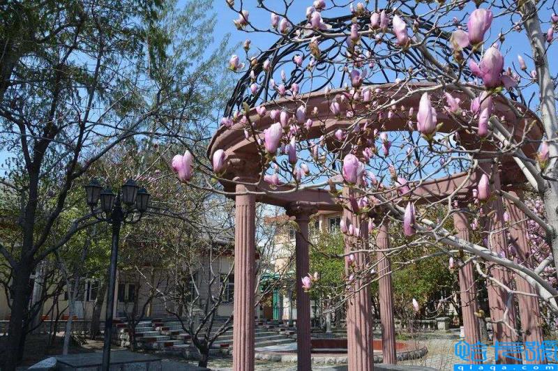 天津七中（天津中学排名情况）