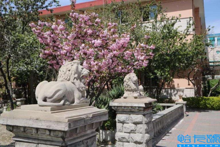 天津七中（天津中学排名情况）