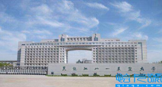 哈尔滨都有哪些二本院校-(哈尔滨二本学校排名介绍)