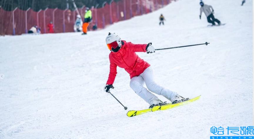 双板滑雪技巧（教练心得与体会总结）