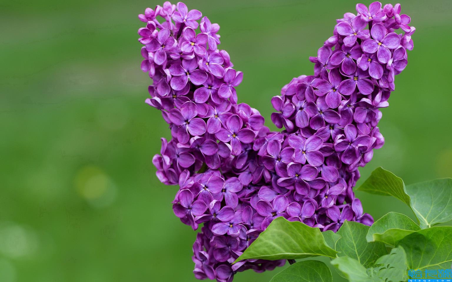 平淡简单生活短句(简单生活心态的句子)
