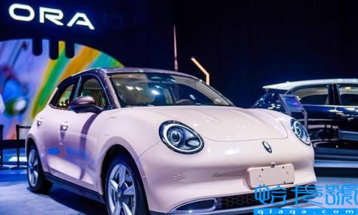 新能源汽车前十名品牌(2022公认销量最好纯电动车)