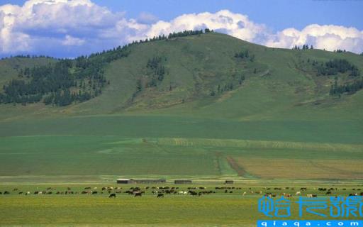 蒙古凭什么独立(蒙古为什么独立了)