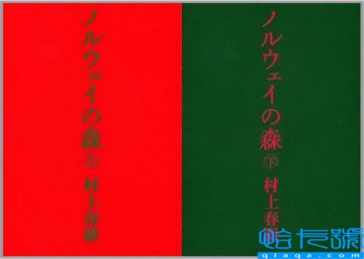 绿皮书简介英文50字(绿皮书简介100字英文)