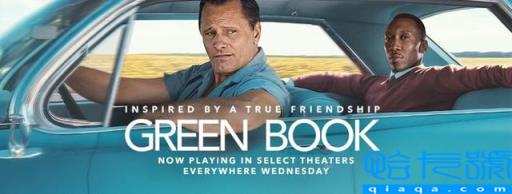 绿皮书简介英文50字(绿皮书简介100字英文)