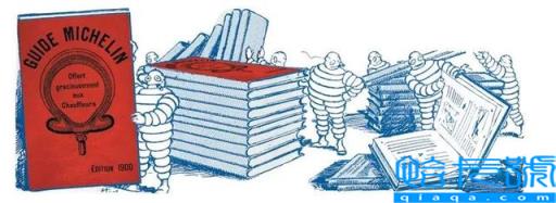 绿皮书简介英文50字(绿皮书简介100字英文)