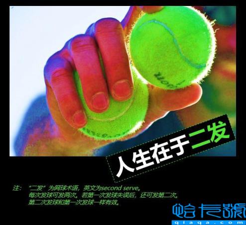 绿皮书简介英文50字(绿皮书简介100字英文)