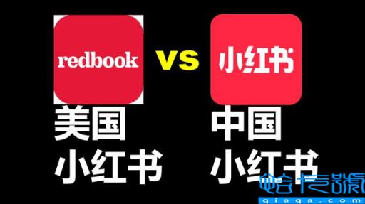 绿皮书简介英文50字(绿皮书简介100字英文)