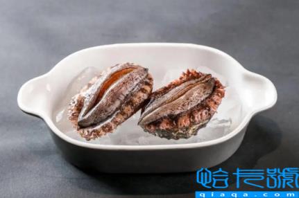 几头鲍鱼是什么意思(鲍鱼几头怎么理解)