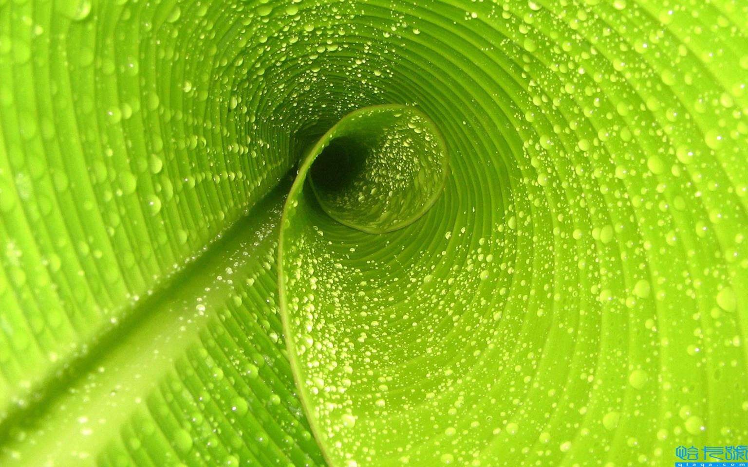 逝者安息生者坚强(安慰失去亲人的暖心话)