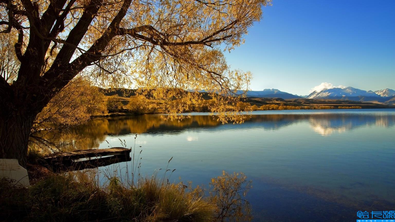 游戏实名注册身份证号(网上游戏身份证号码)