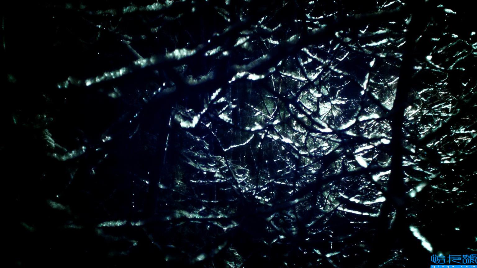 胶组词(精选100个)