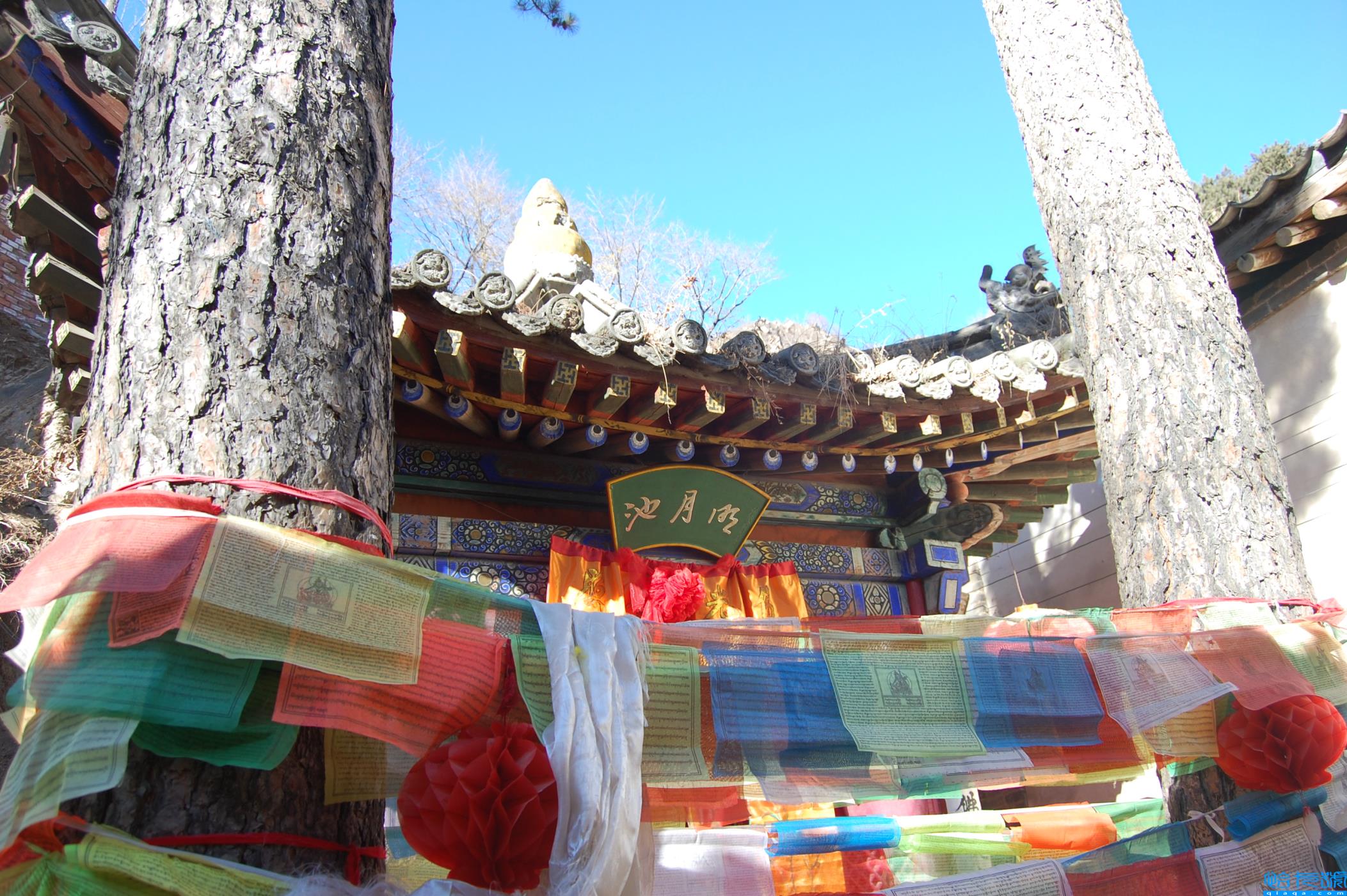 五台山旅游攻略（保姆级详细攻略，送给你们）