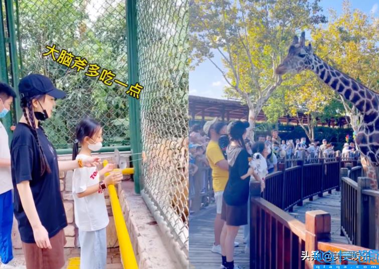 赵丽颖冯绍峰再传复合？赵丽颖冯绍峰复婚最新消息