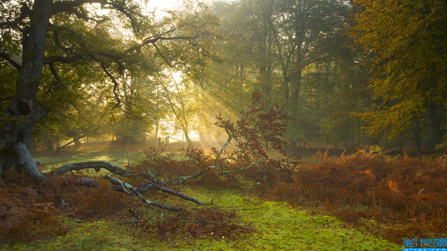 适合深夜开车的污段子(含蓄又污的短句)