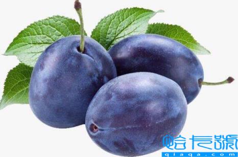 西梅怎么保存时间长（西梅放冰箱的正确方法）